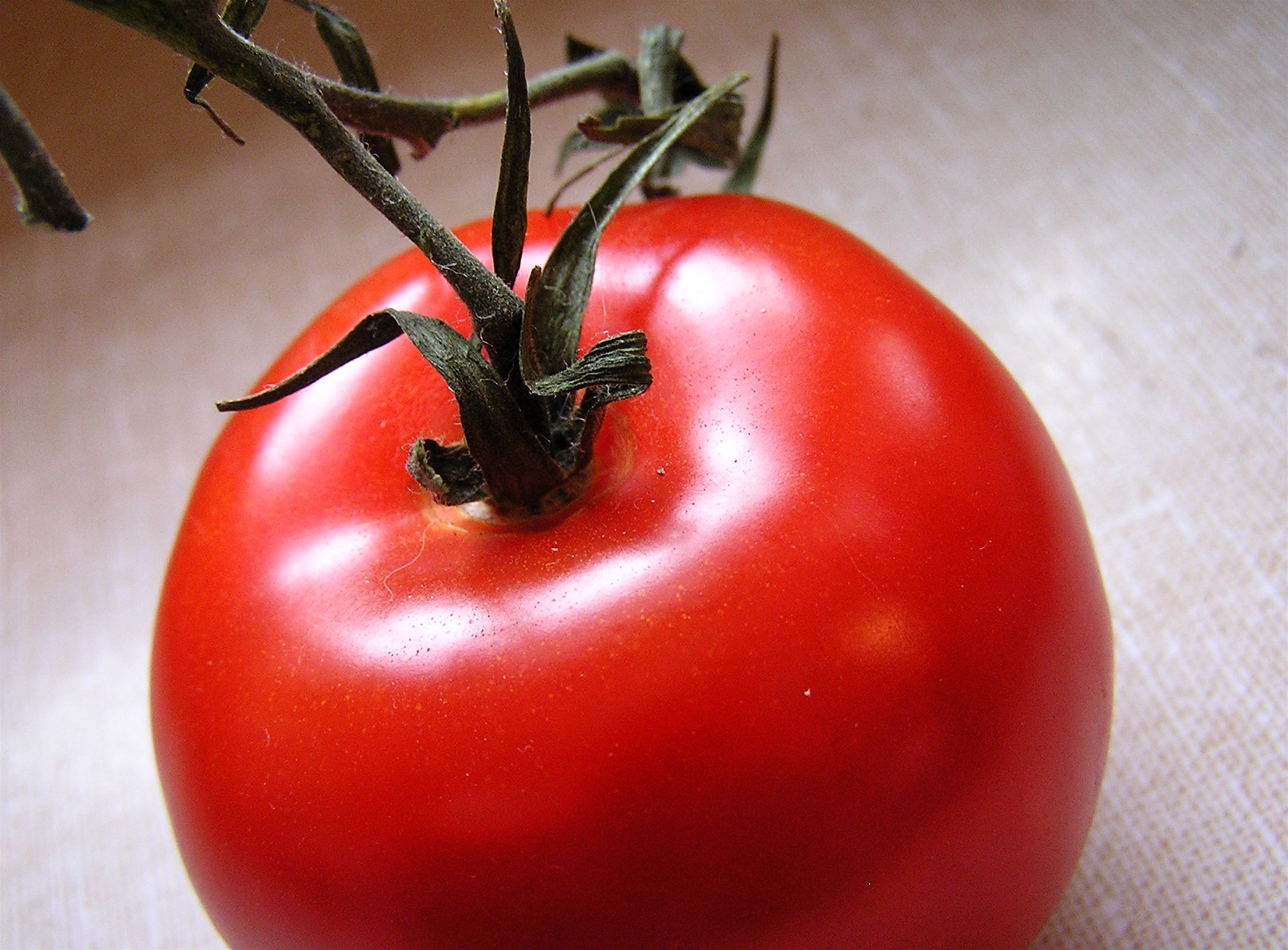 a large tomato with brown stem sitting on a table