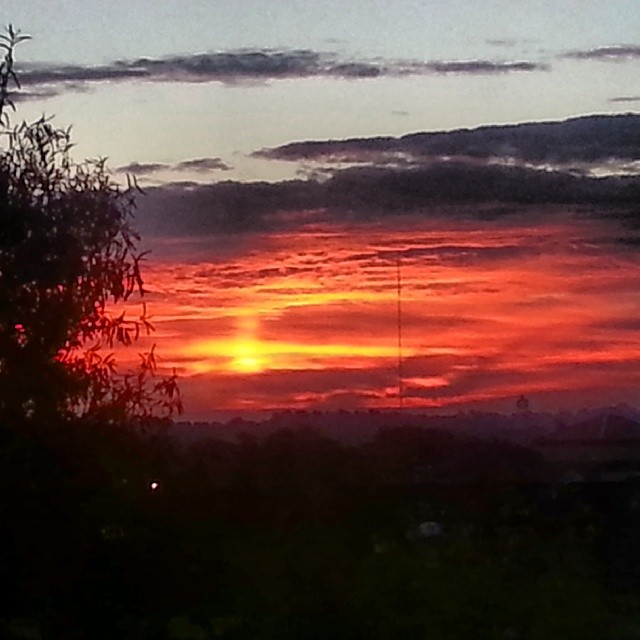 a po of some trees in the foreground and a sunset on the horizon