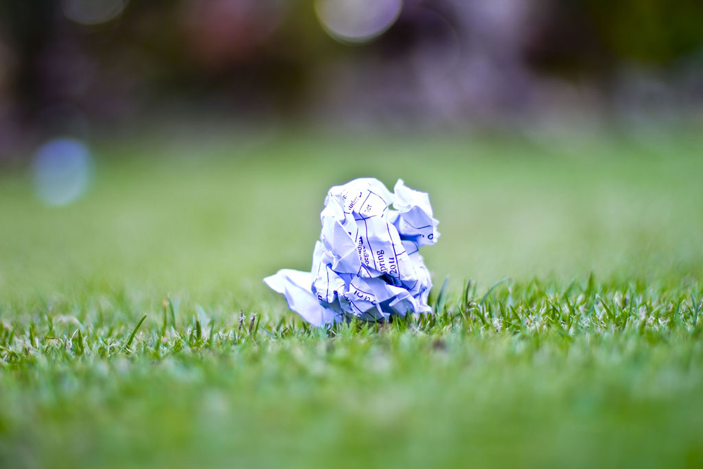 a close up of a white flower sitting in the grass