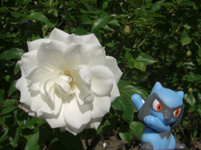 a small figurine is next to a large flower