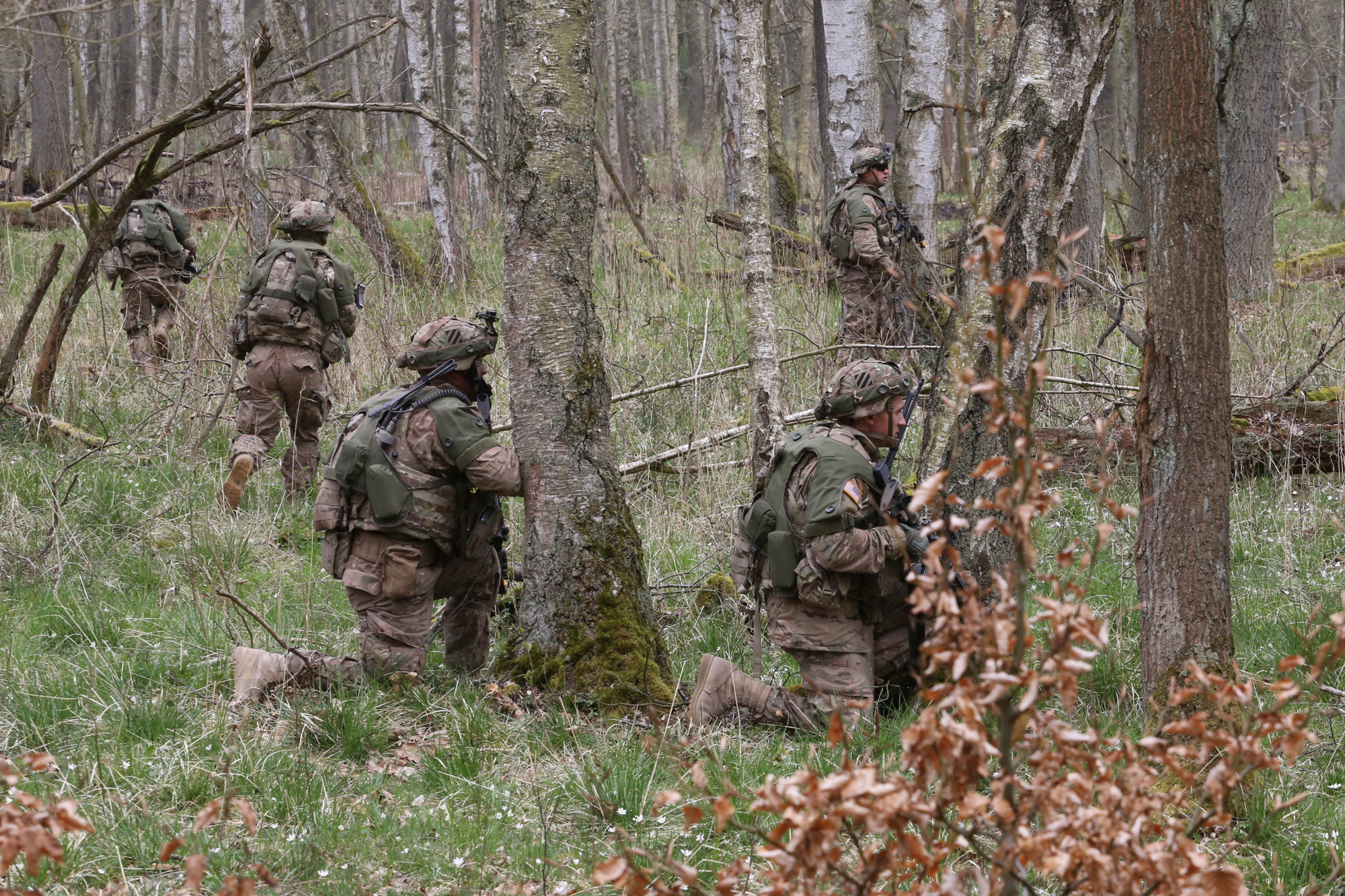 a group of men in camouflage walking through the woods