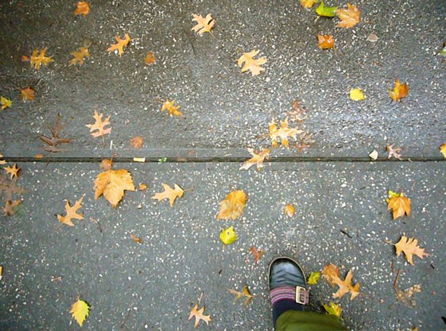 person in blue jacket standing on the sidewalk covered with leaves
