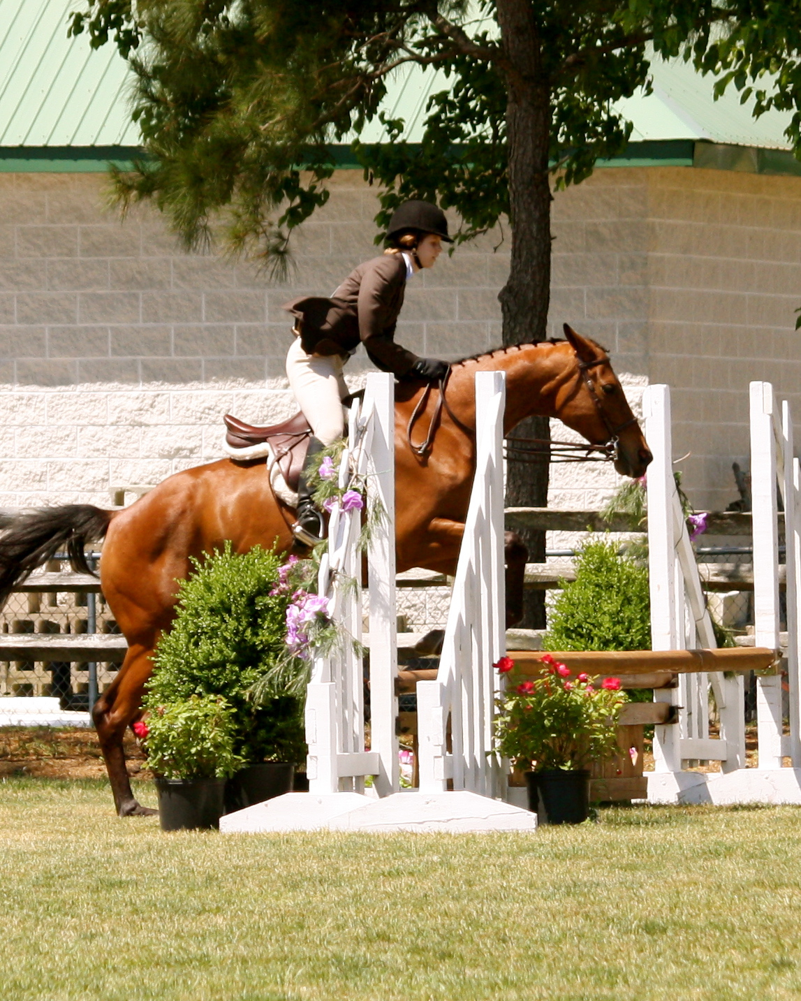 woman on horse jumping a jump at a horse show