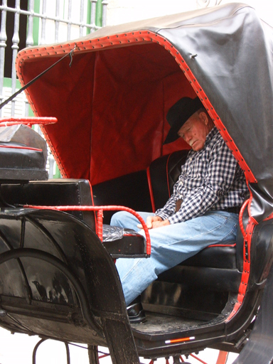 a man sitting in a horse drawn carriage