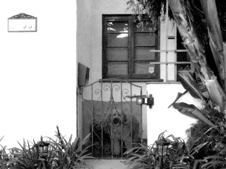 a black and white po of a gate with plants growing beside it