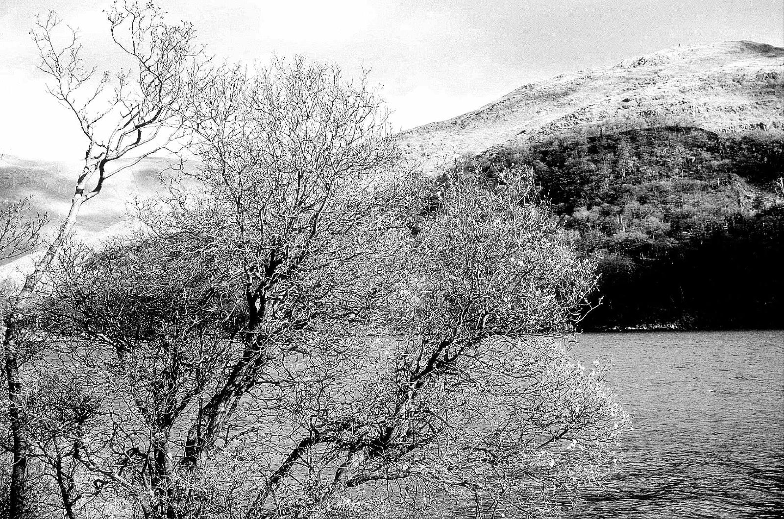 a black and white po with mountains in the background