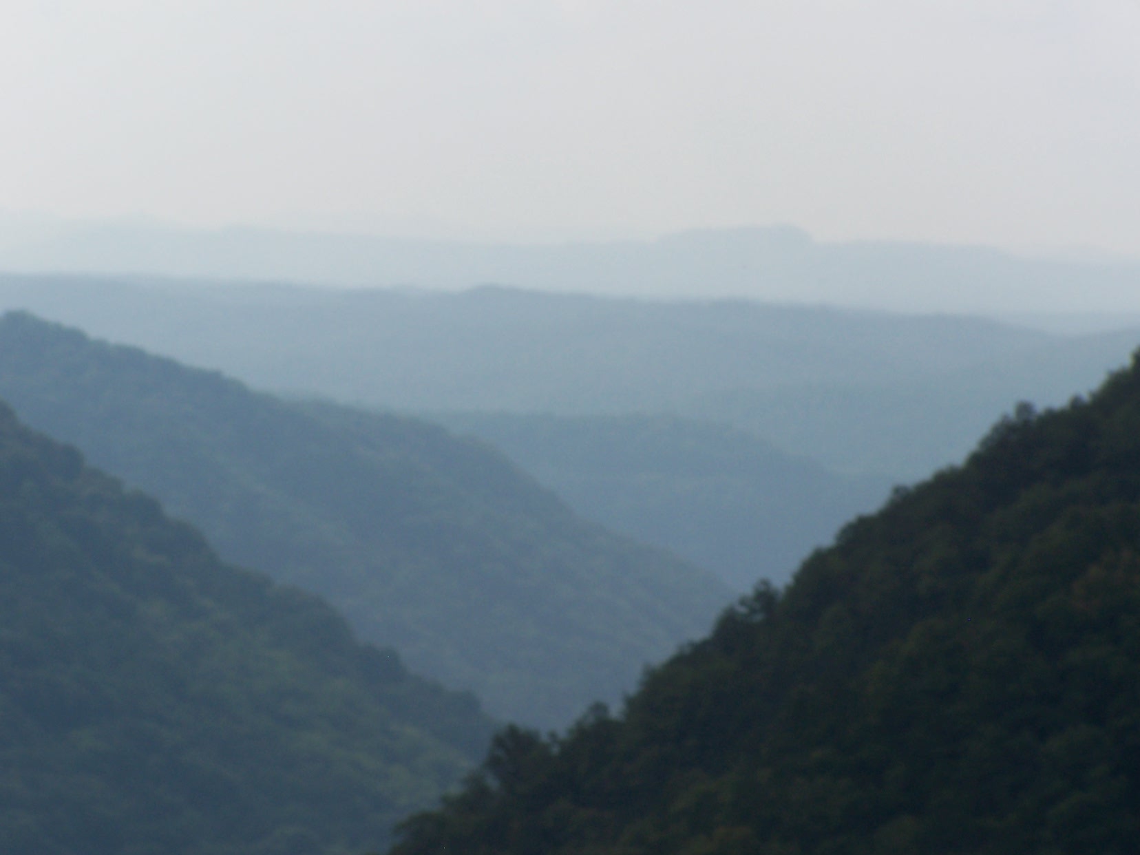 a plane flying over mountains near the forest