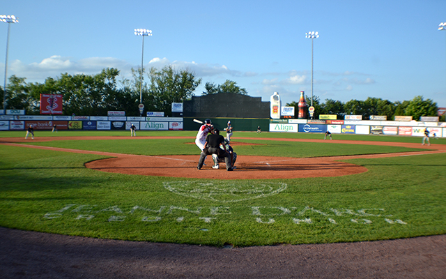 players are in the outfield playing baseball on a sunny day