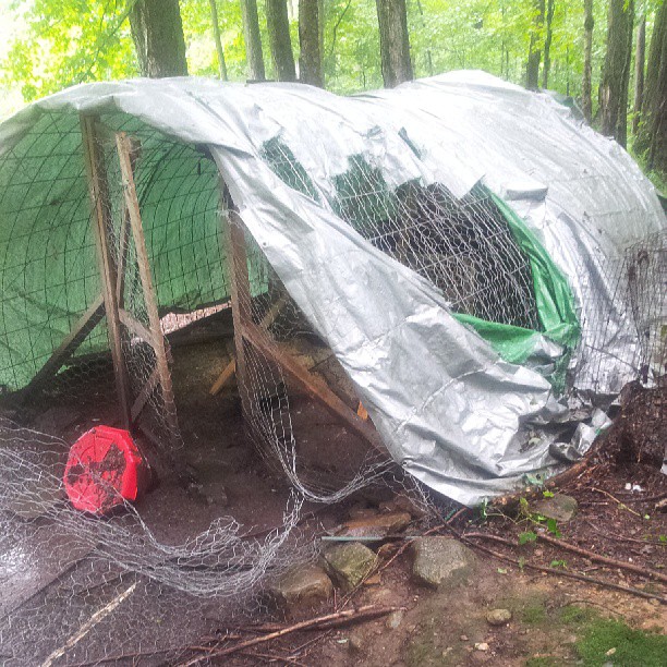 a green covered tent in the middle of a forest