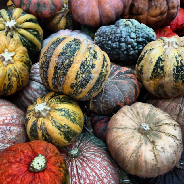 small pumpkins that are sitting next to each other