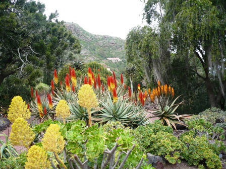 the colorful plants have been placed in the garden