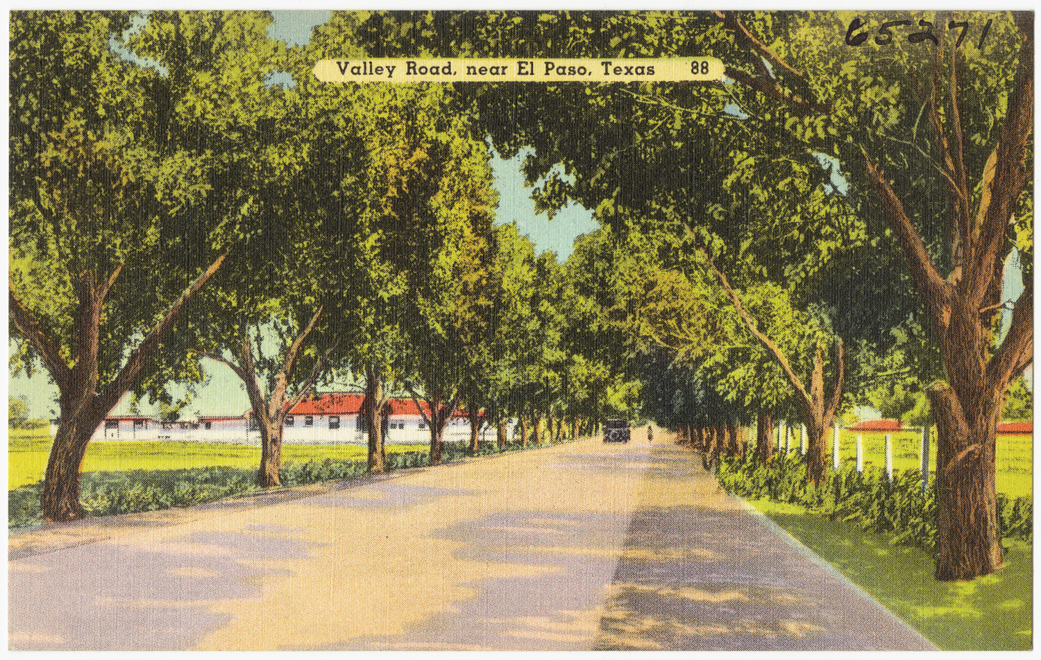 an old po of a country road between several trees