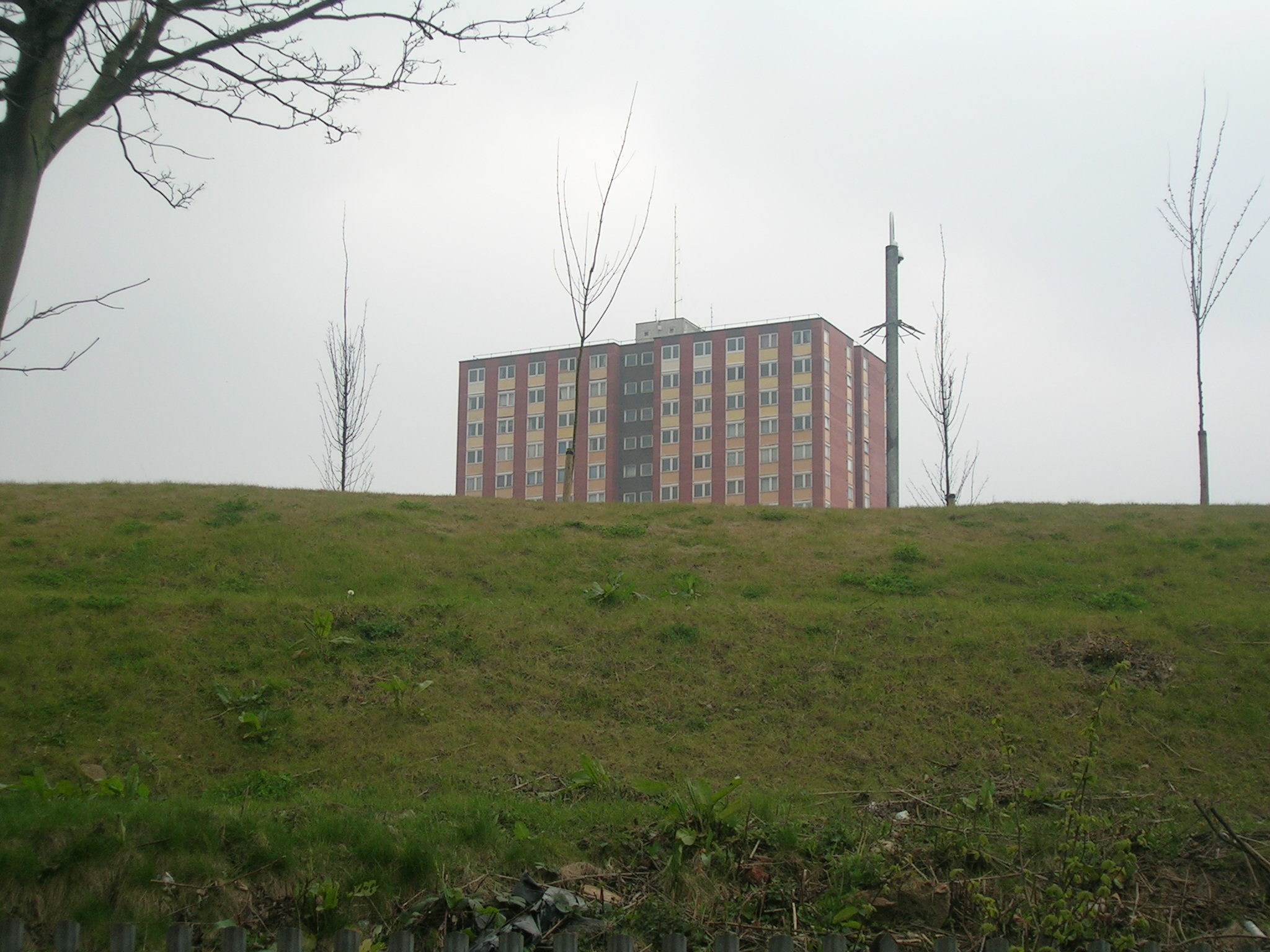 a tall building sitting on top of a grass covered hill