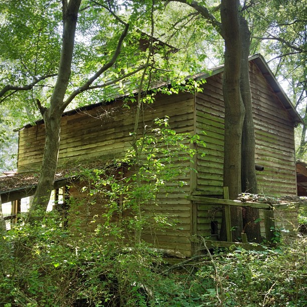 an old wooden cabin in the middle of the woods