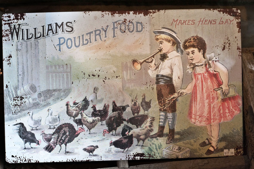 an old poster of children feeding turkeys