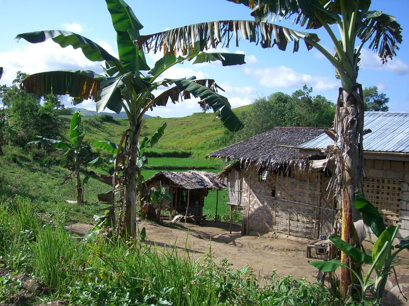 an old house with a small thatch roof sitting beside a lush green hillside