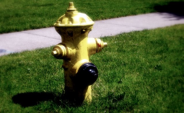 a yellow fire hydrant sitting on top of a grass covered field