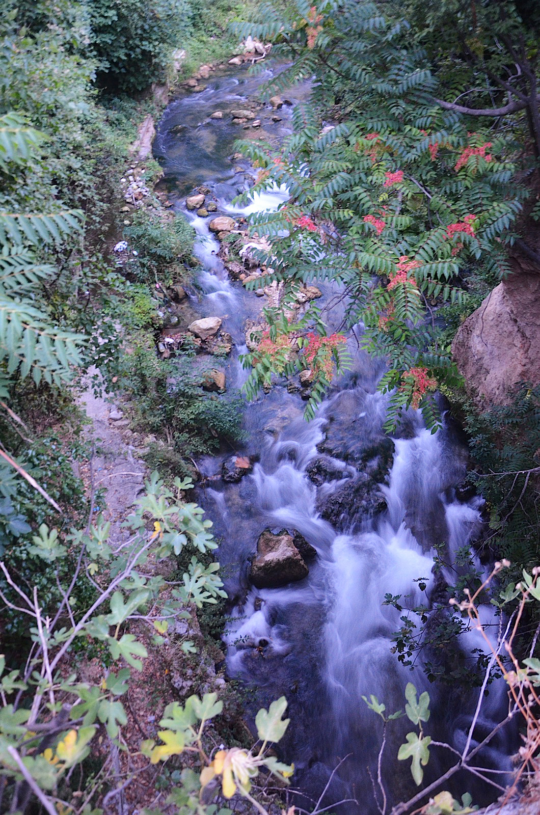 flowing creek and stream surrounded by trees and rocks