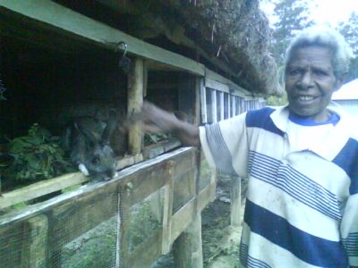 an older person with a horse on a farm