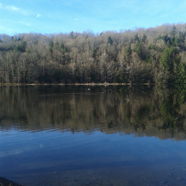 a calm lake surrounded by some trees in the background