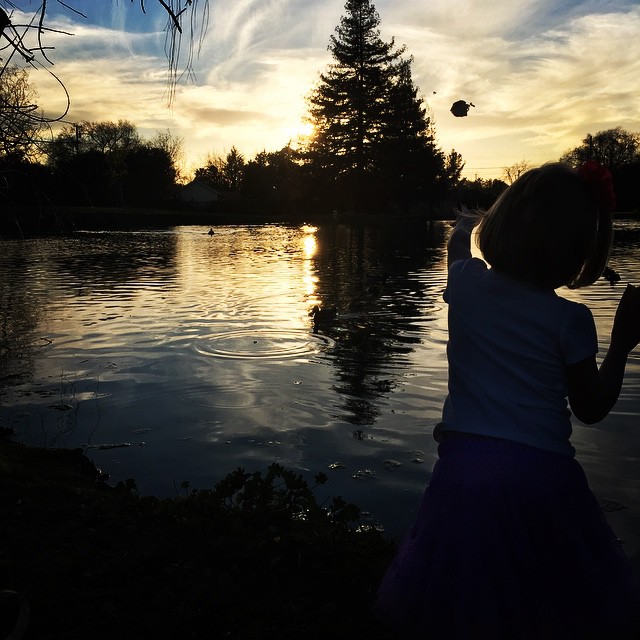 a child on the bank looking at a lake