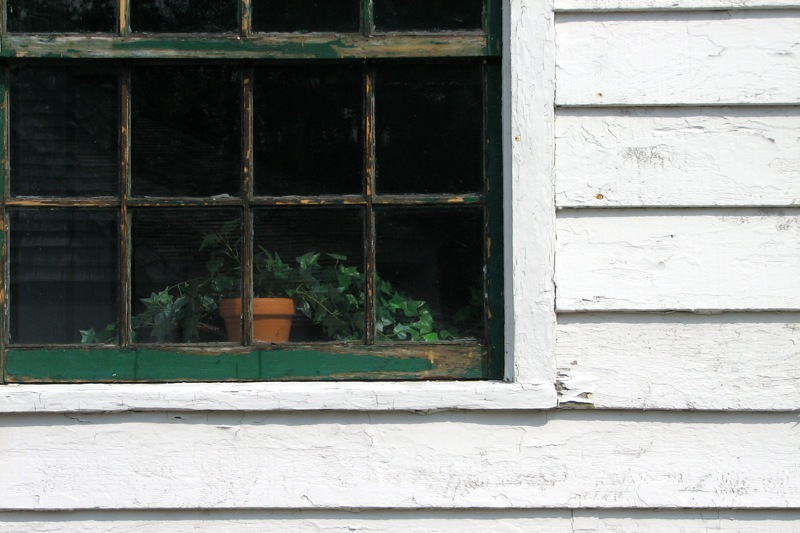 an open window with a potted plant in it