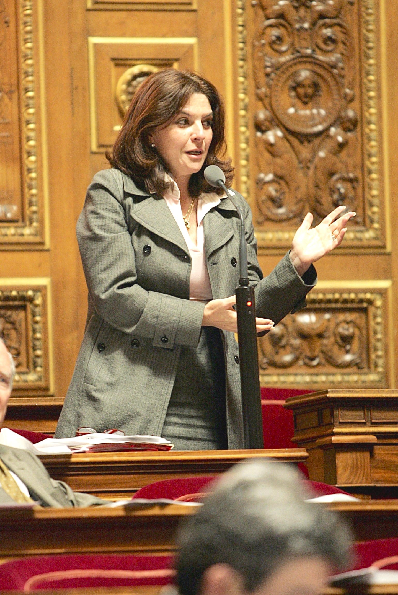 a women who is standing up and giving a speech