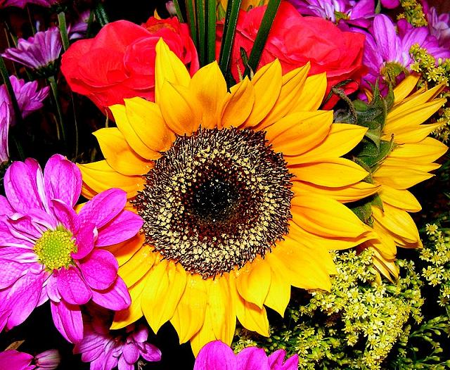 brightly colored flowers are shown arranged for display