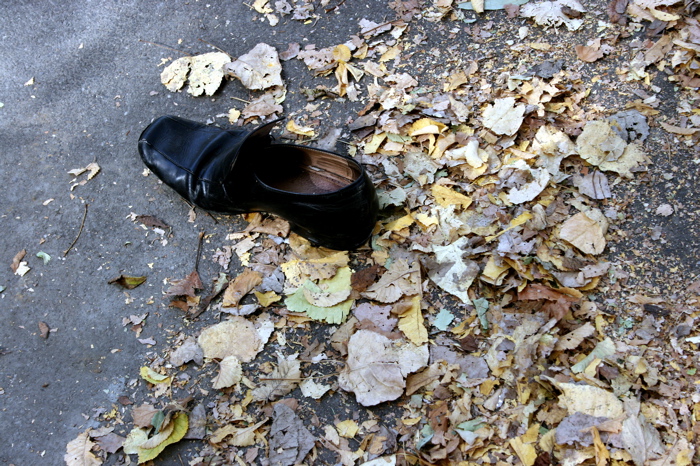 a pair of black shoes sitting on a pile of leaves