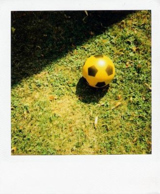 the yellow ball is in the grass by itself
