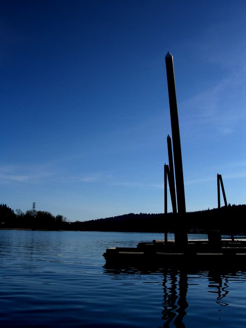 the pole on the dock are in the water