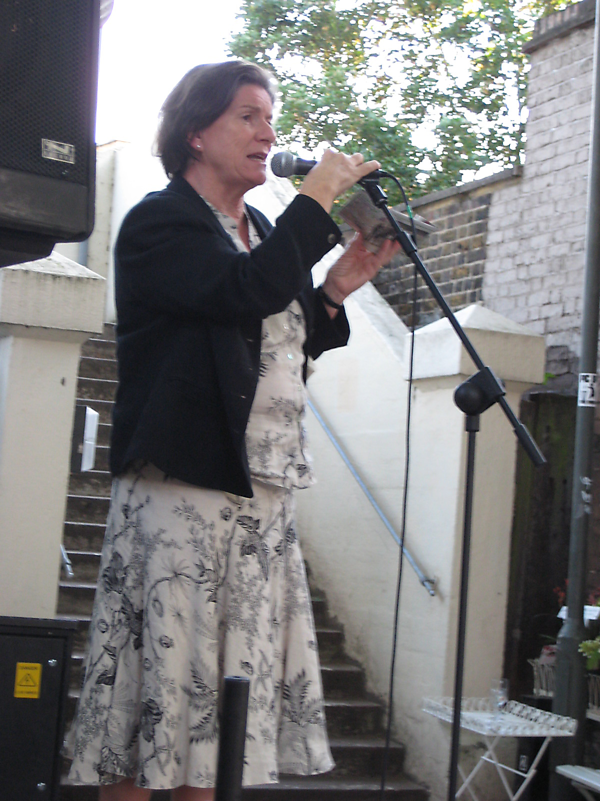 a woman reads from her book while standing near a microphone on the side of a set of steps