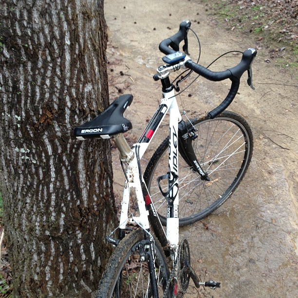 the front end of a mountain bike  to a tree