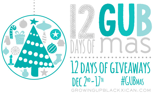 the twelve days of giveaway poster for 12 days of giving back to the community