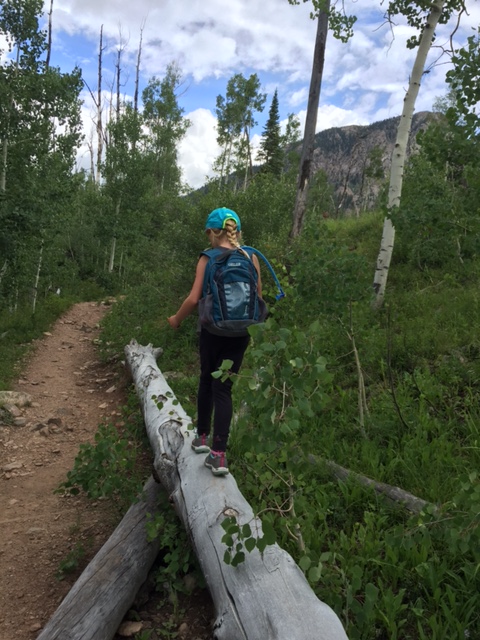 there is a woman with a backpack and hiking poles that are on a trail