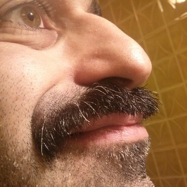 close up pograph of a man with a fake moustache