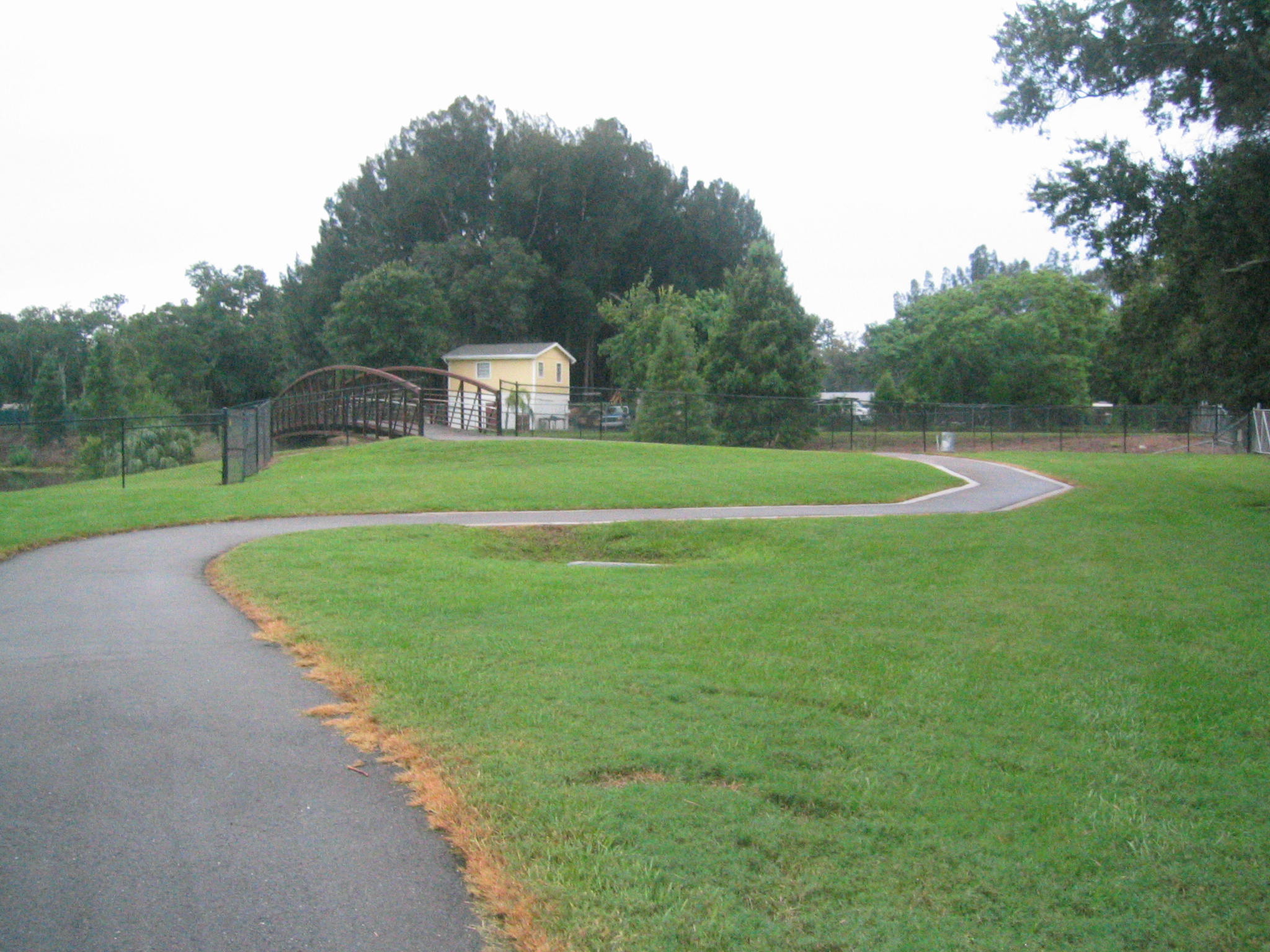 a road winding toward a grassy hill in a park