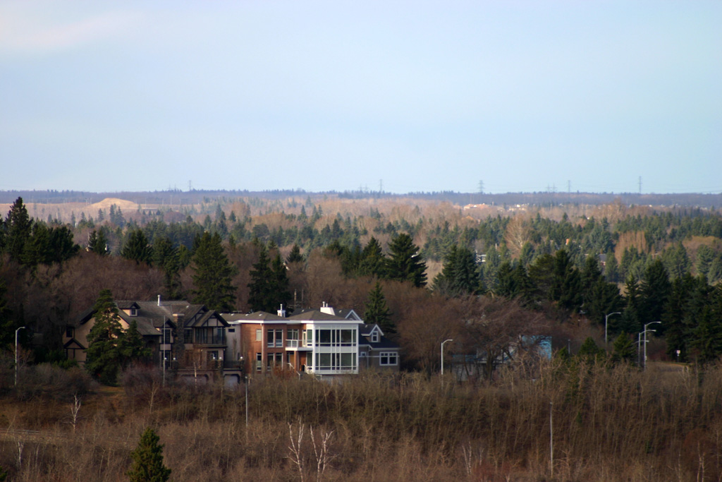 the mountainside homes sit alone in a wooded area