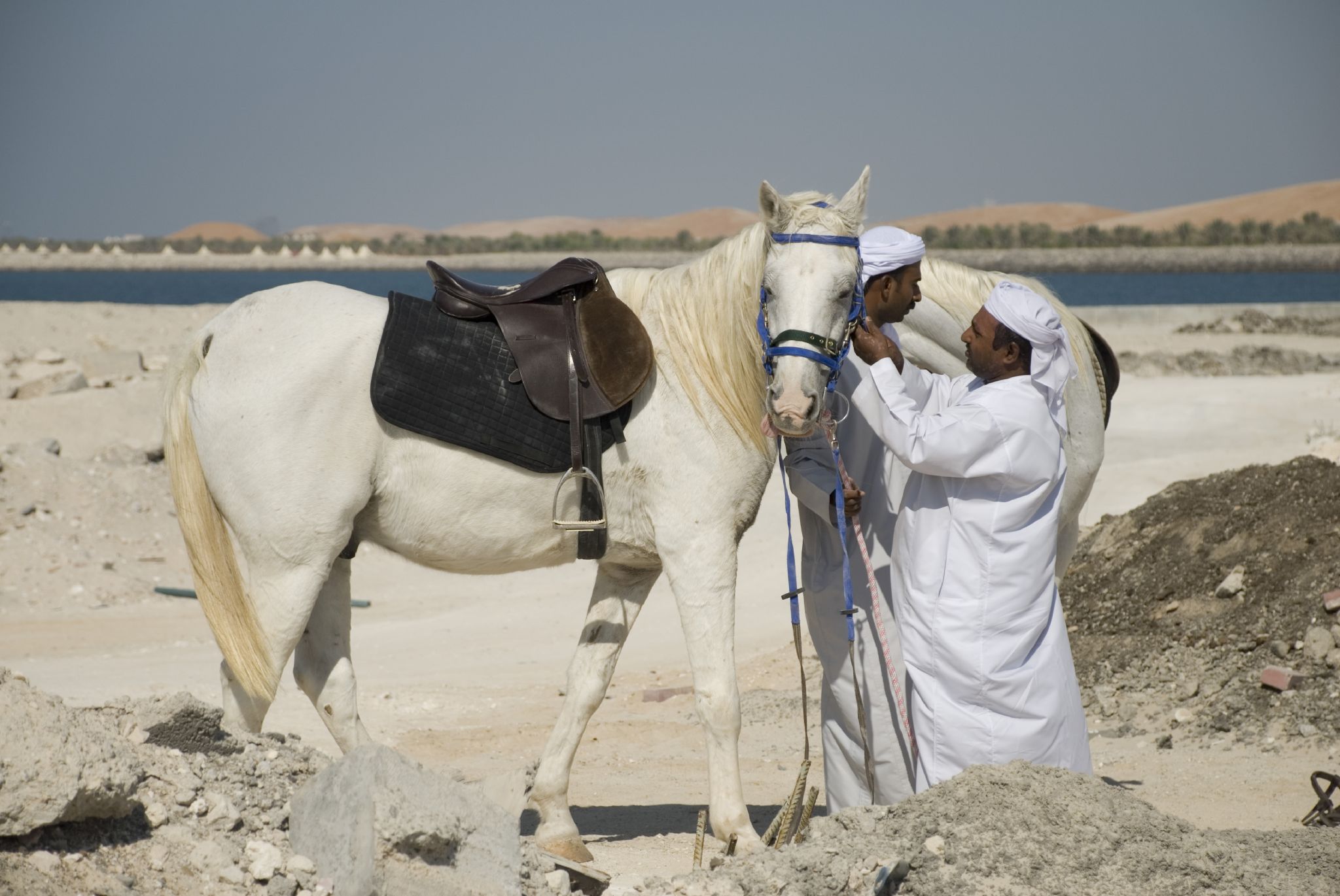 the man is petting the horse and giving it a high five