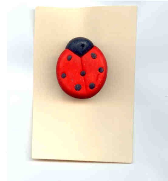 a ladybug pin sits atop a paper