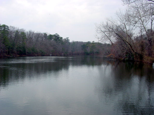 a pond sits empty on a cloudy day