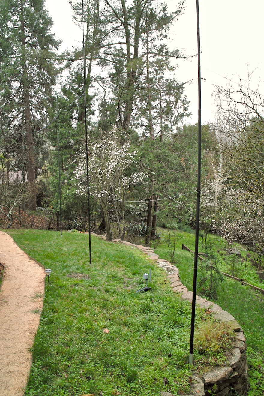 a green field with rocks and trees