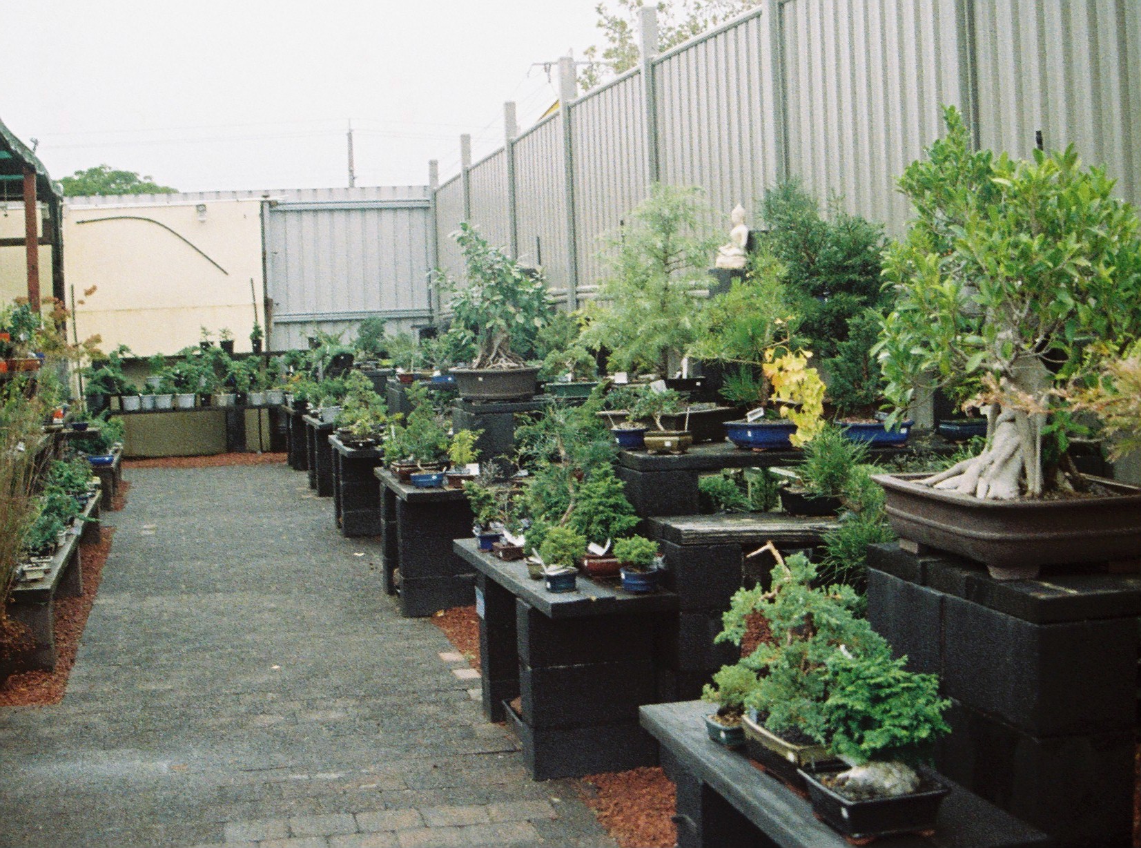 an outdoor greenhouse is shown with many plants