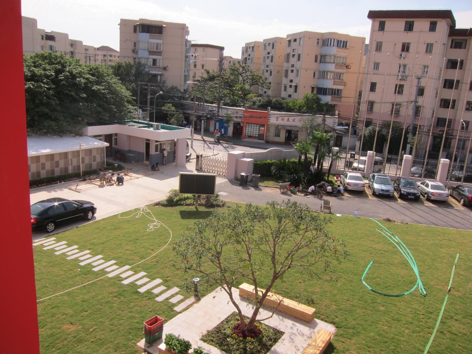 the large lawn next to the street has many trees