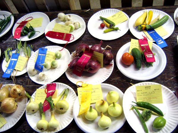 many plates with different vegetables are on paper plates