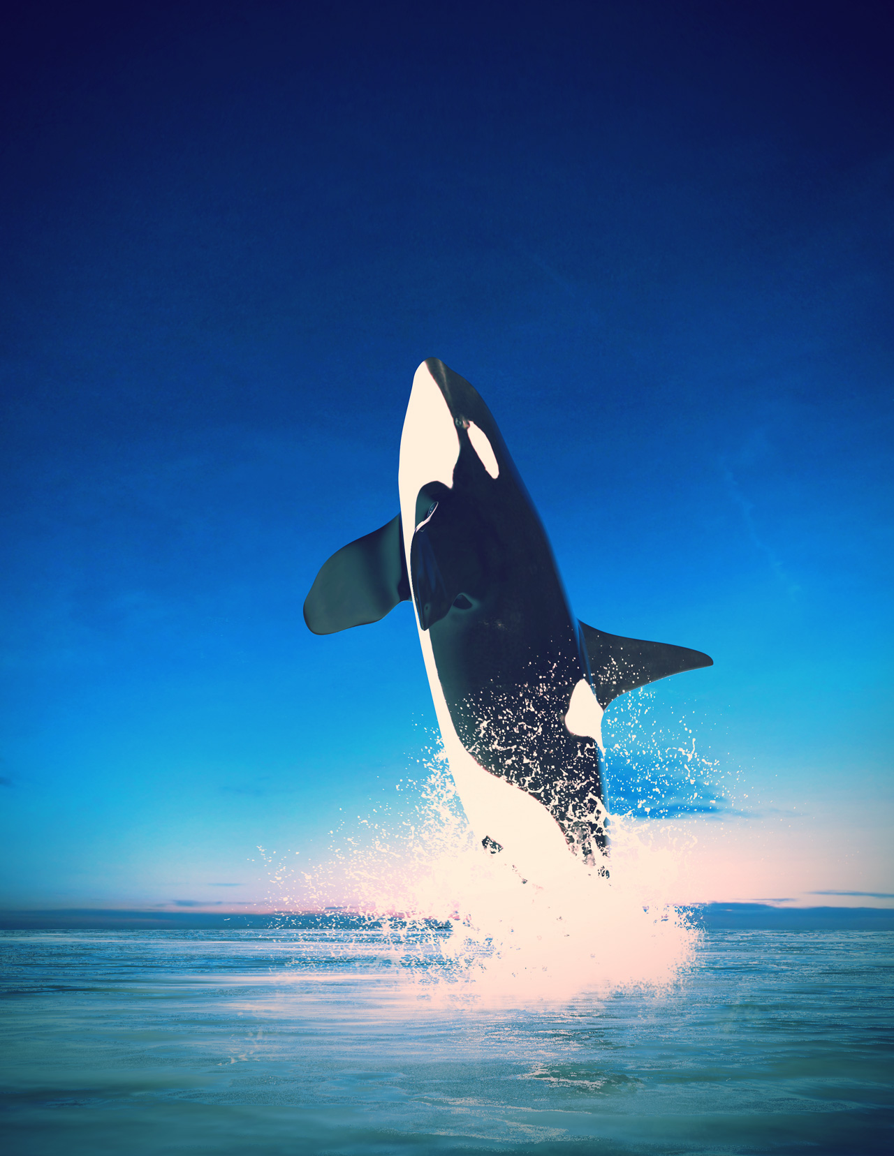 a large white and black shark leaping out of the water