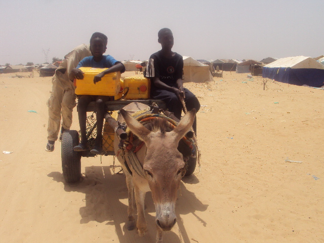 two men driving a donkey drawn cart in a desert setting