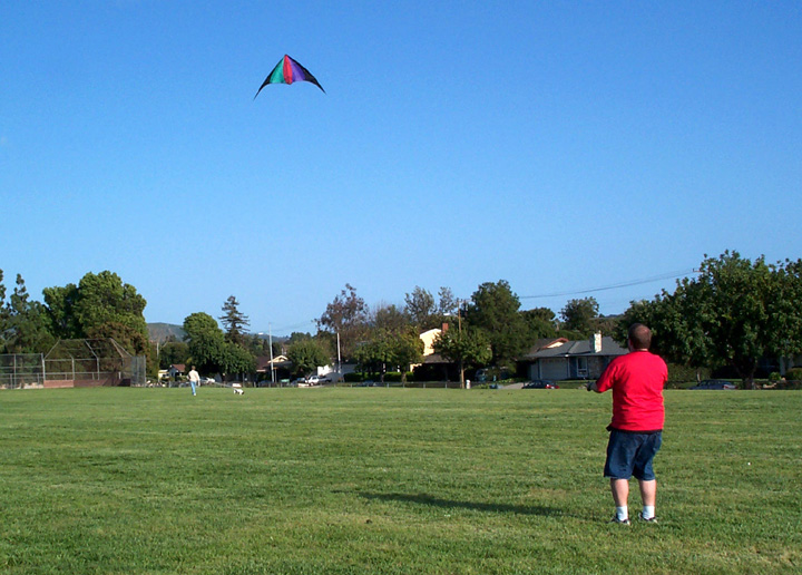 two people in a field fly a kite