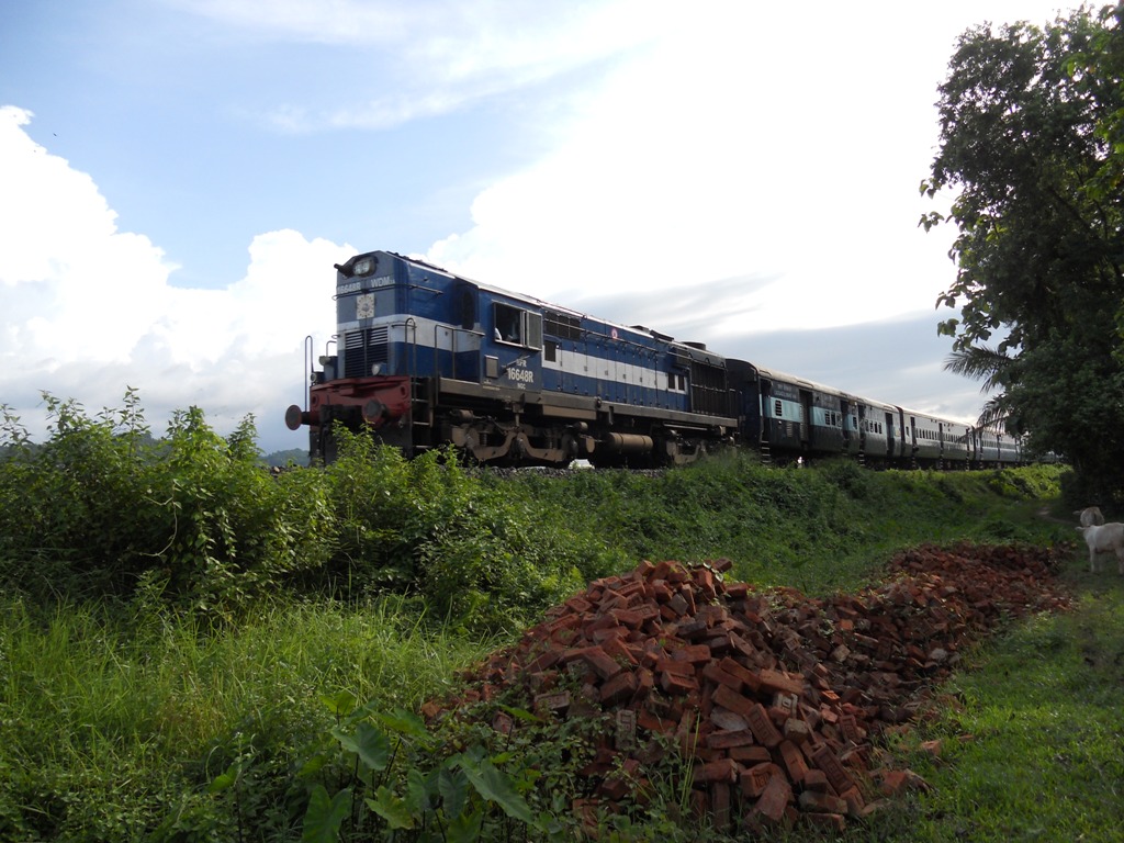 a train coming down the tracks next to green vegetation