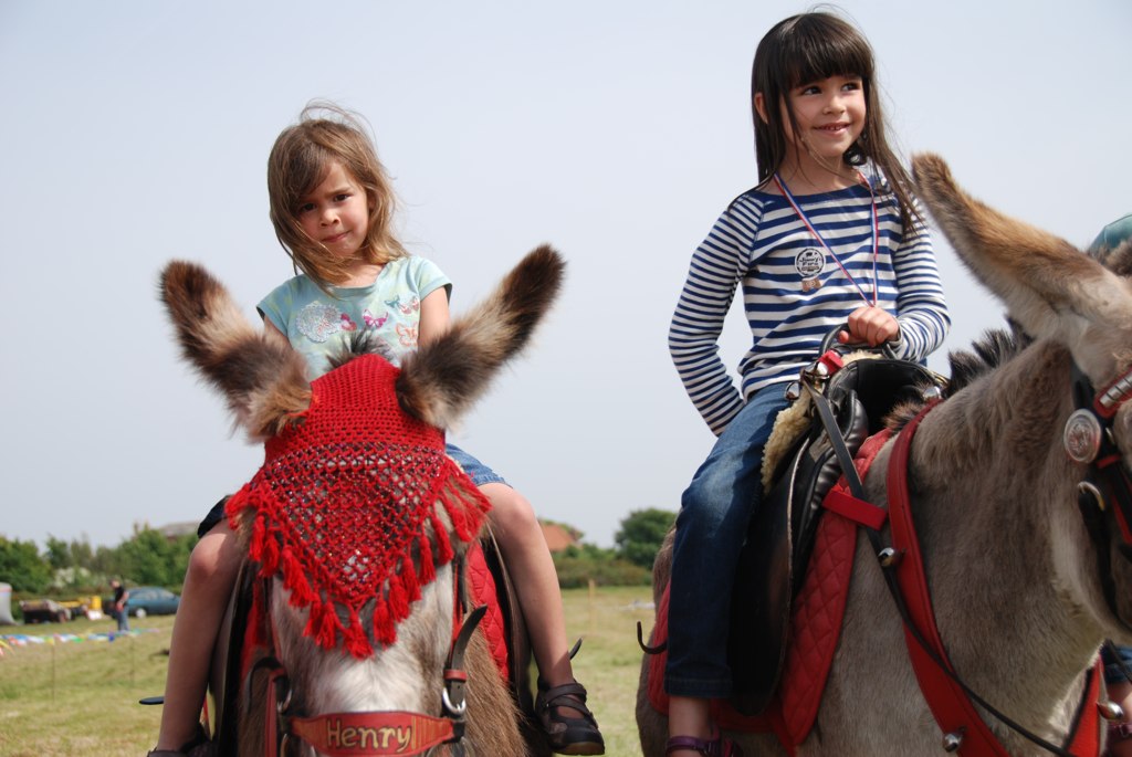 two s riding donkeys at an outdoor event